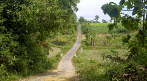 Lorong Waktu Alas Bonggan