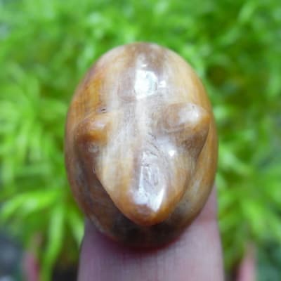 mustika siluman katak pusaka dunia mustika siluman katak pusaka dunia