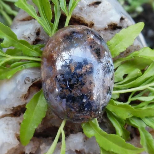 Mustika Aura Macan Kumbang