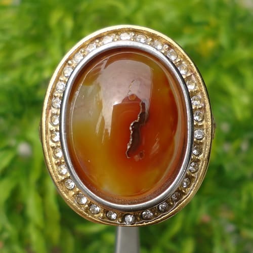 100+ Gambar Cincin Lintah HD 100+ Gambar Cincin Lintah HD
