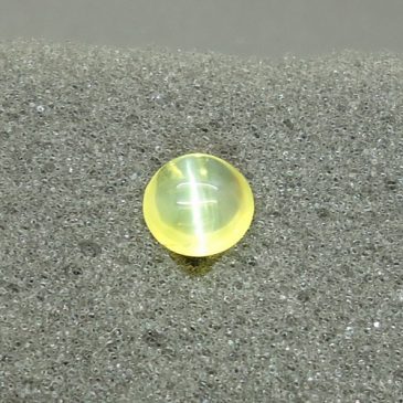 Irfan Hakim Menangis Masih Bisa Gendong Kucing Emas Langka Irfan Hakim Menangis Masih Bisa Gendong Kucing Emas Langka