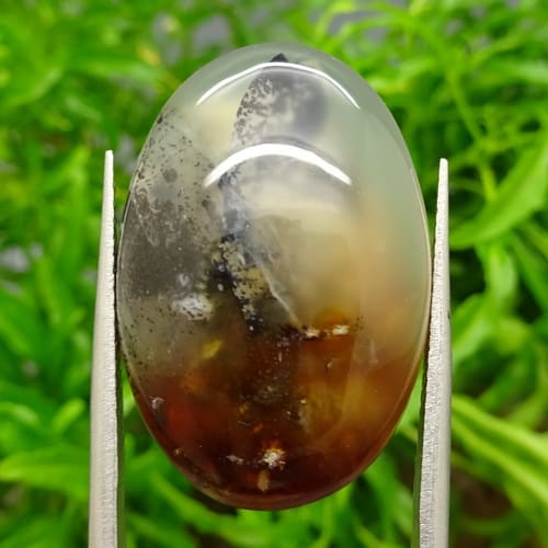 Mustika Alam Para Khodam Ganas