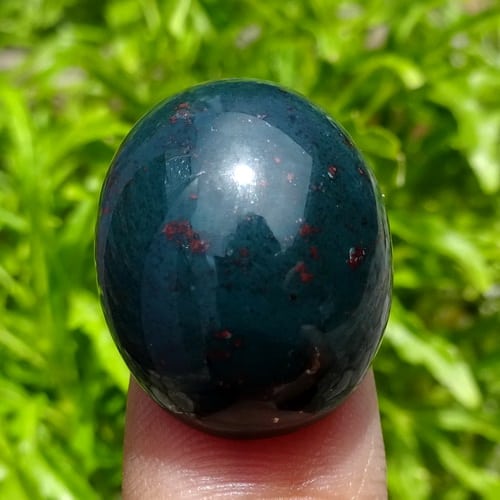 Mustika Naga Sui Tutul Merah Pusaka Dunia mustika naga sui tutul merah pusaka dunia