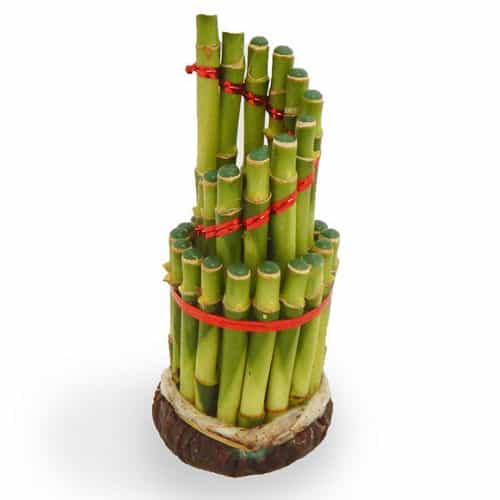  Bambu  Pembawa Hoki  Rejeki Pusaka Dunia