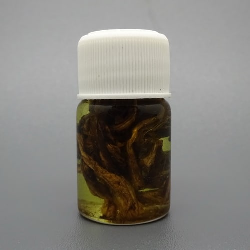 minyak bulus ginseng yang asli berkualitas pusaka dunia minyak bulus ginseng yang asli berkualitas pusaka dunia