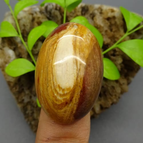 mustika kantong semar motif kayu pusaka dunia mustika kantong semar motif kayu pusaka dunia