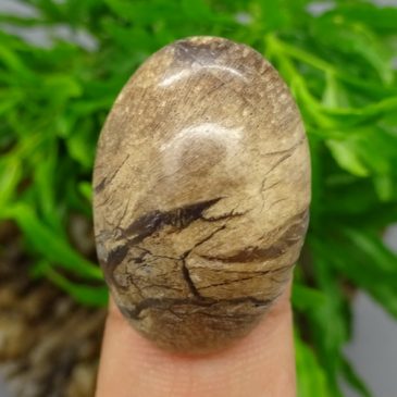 Mustika Khodam Panglima Kumbang Ampuh