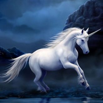 Unicorn - Penjelasan Tentang Kuda Unicorn - Wattpad