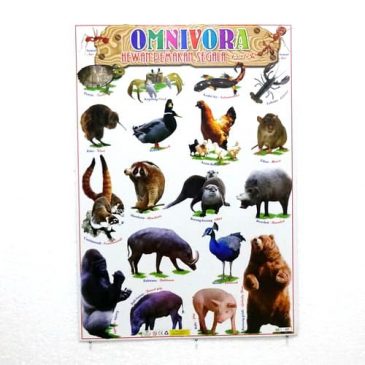  Poster  Hewan  Omnivora Pusaka Dunia