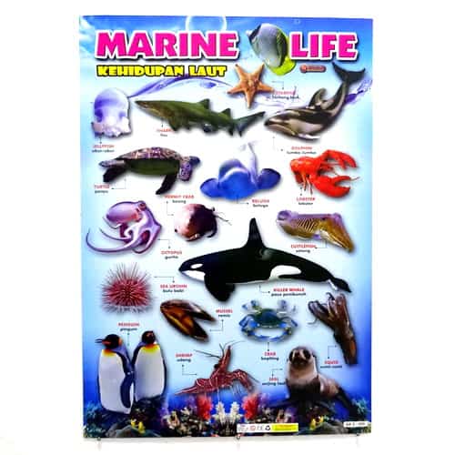 Poster Kehidupan Hewan Laut Pusaka Dunia