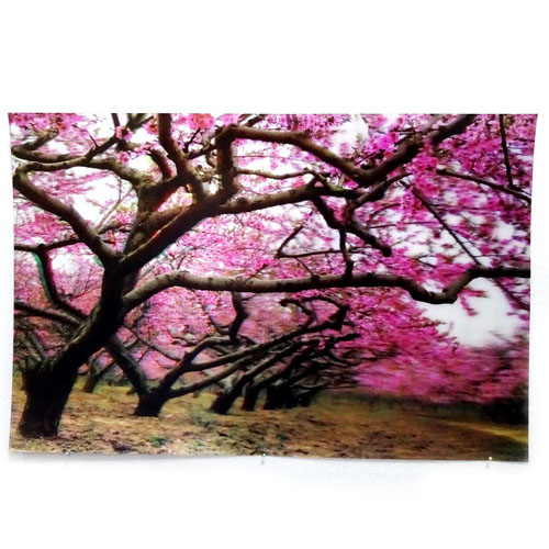  Poster  3D Bunga  Sakura Pusaka Dunia