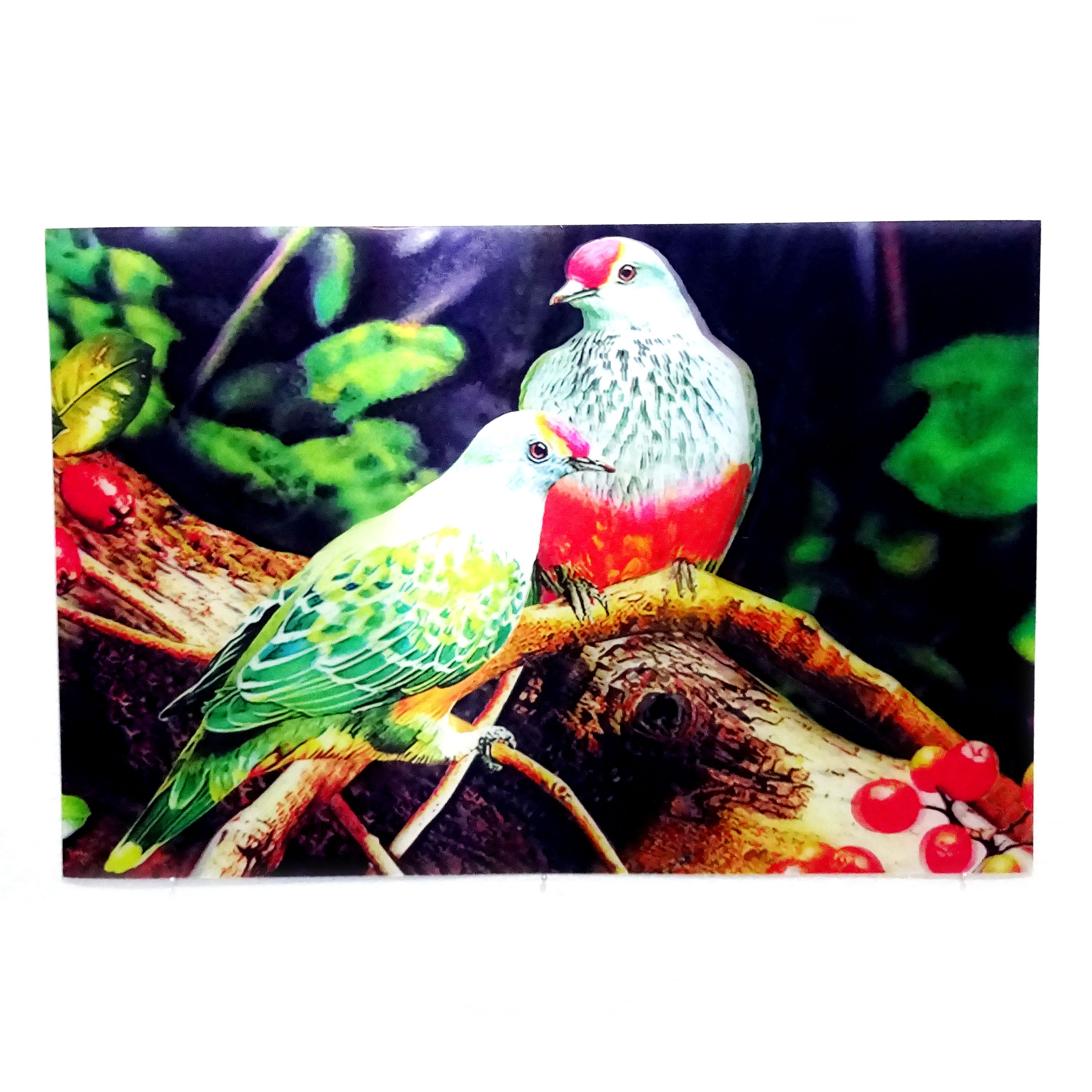  Poster  Burung  3 Dimensi Full Color Pusaka Dunia