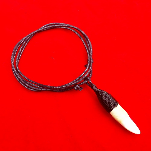 kalung taring gigi buaya keramat uh pusaka dunia kalung taring gigi buaya keramat uh pusaka dunia