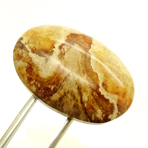 Amalan Khodam Singa Allah / 3054. AMALAN. ASADULLAHI GHALIB (SINGA