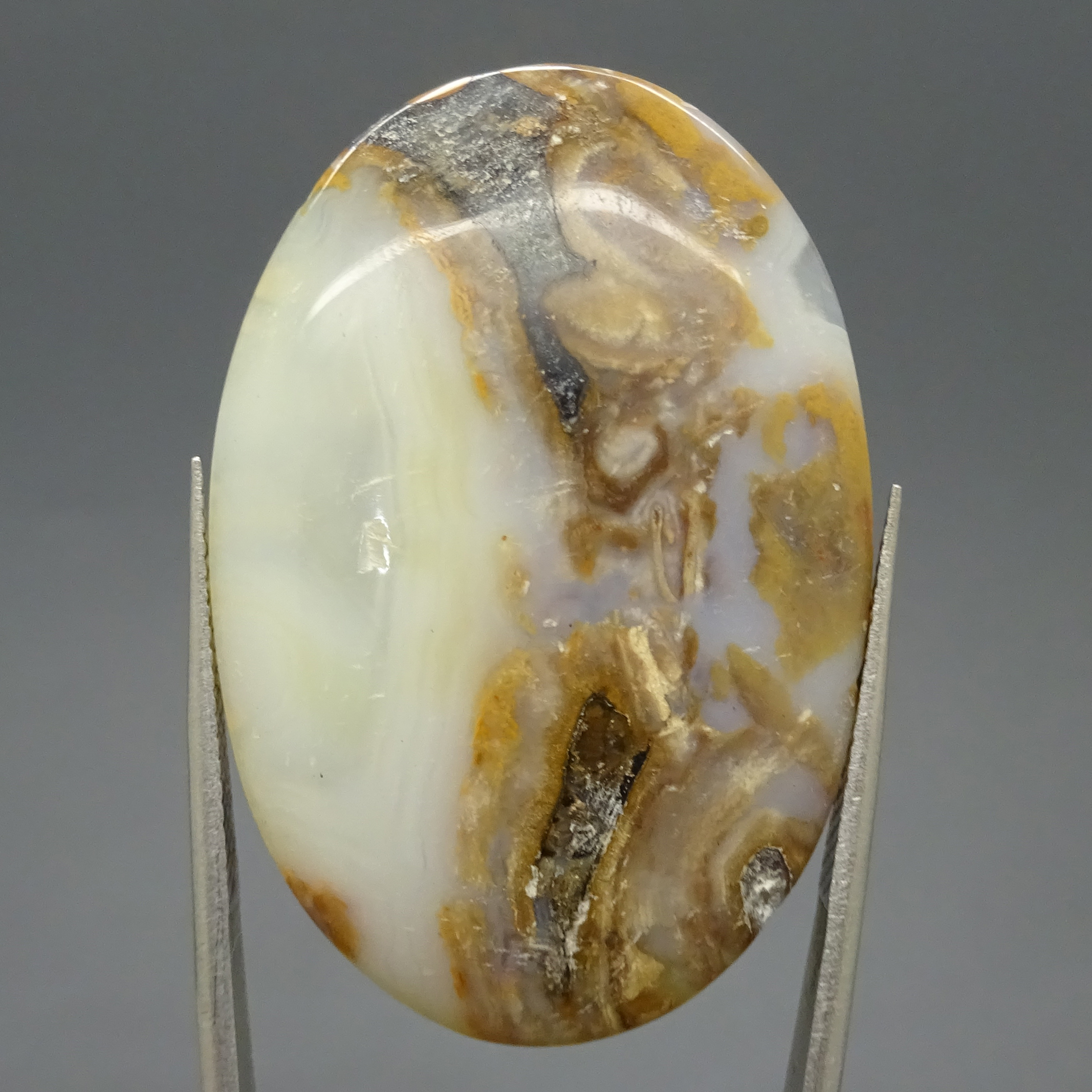 Amalan Khodam Singa Allah / 3054. AMALAN. ASADULLAHI GHALIB (SINGA