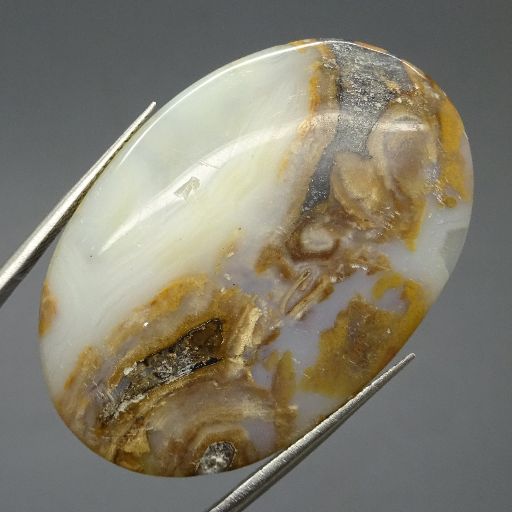 Amalan Khodam Singa Allah / 3054. AMALAN. ASADULLAHI GHALIB (SINGA