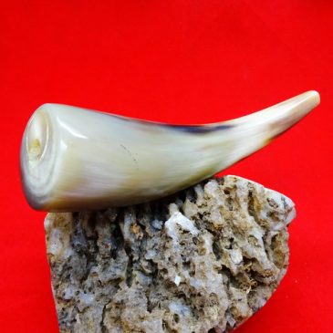 Pipa Rokok Tanduk Elegan