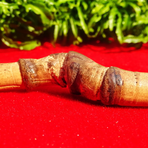 Pusaka Bambu Rotan Petuk Temu Roso