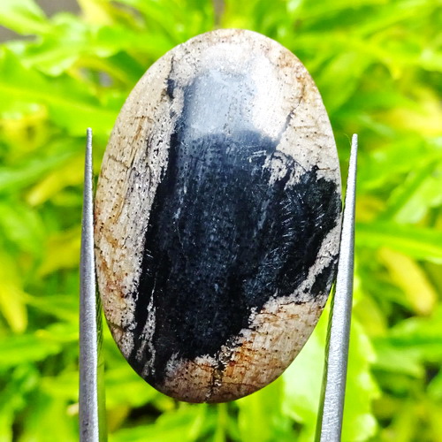 Mustika Khodam Burung Walet Tygpress