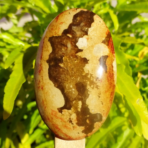 Mustika Pelarisan Mbah Semar