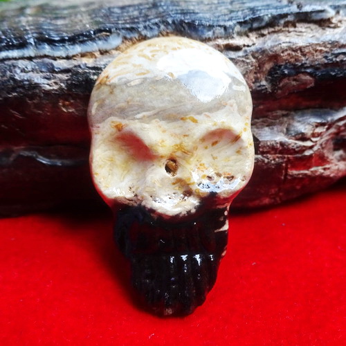 Mustika Tengkorak Putih Hitam