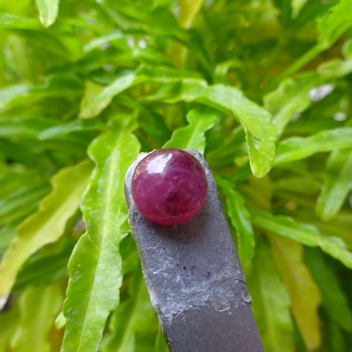 Mustika Merah Delima Asli Natural - Pusaka Dunia