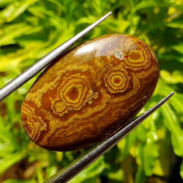 Mustika Penarik Lancar Rejeki Mustika Penarik Lancar Rejeki