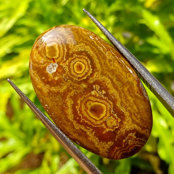 Mustika Penarik Lancar Rejeki Mustika Penarik Lancar Rejeki