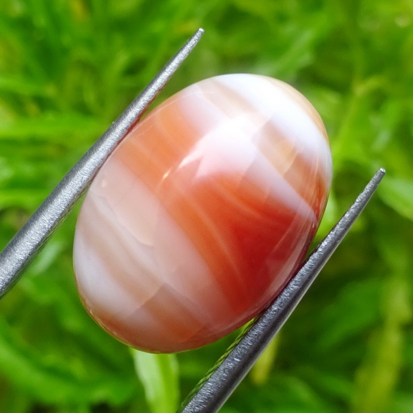 Mustika Penarik Rejeki Pelarisan Mustika Penarik Rejeki Pelarisan