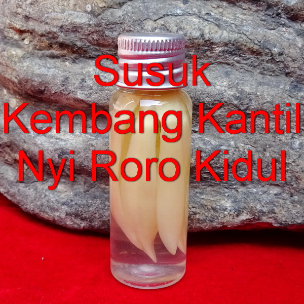 Susuk Kembang Kantil Nyi Roro Kidul Pusaka Dunia