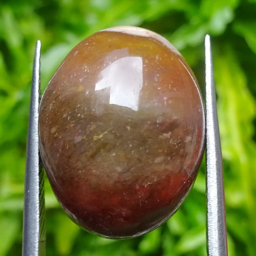 Mustika Berang Berang Bertuah