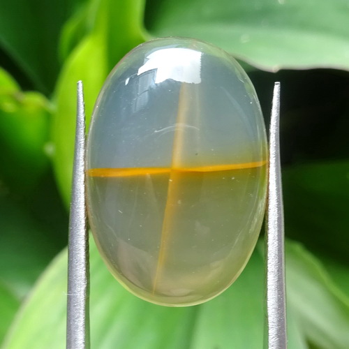 Mustika Tapak Jalak Tembus Pandang Asli Pusaka Dunia