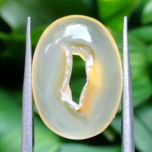 Mustika Combong Penarik Rejeki Mustika Combong Penarik Rejeki