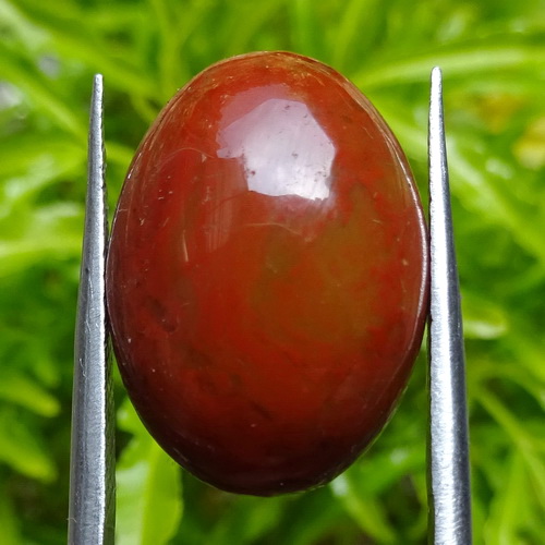 Warna Merah Pada Darah Disebabkan Oleh Mustika Merah Darah Pemikat Wanita Pusaka Dunia