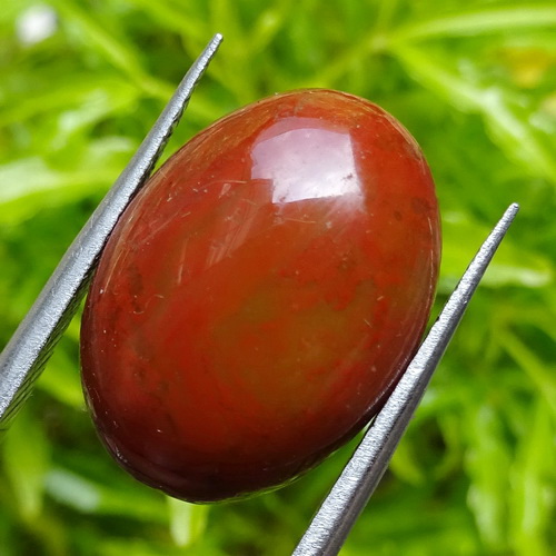 Warna Merah Pada Darah Disebabkan Oleh Mustika Merah Darah Pemikat Wanita Pusaka Dunia