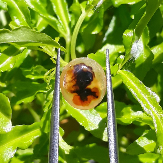 Mustika Tuyul Keramat Penarik Rejeki Mustika Tuyul Keramat Penarik Rejeki