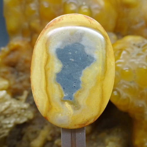 Mustika Bayi Bajang