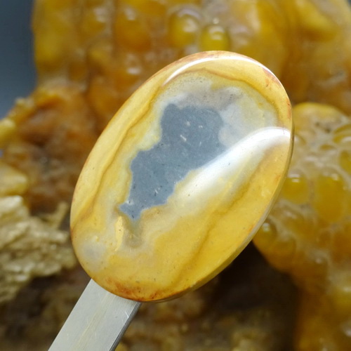 Mustika Bayi Bajang
