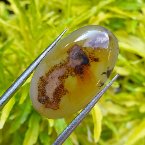 Mustika Pesugihan Bayi Bajang