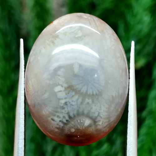 Mustika Jualan Online: Antara Mitos, Bisnis, dan Etika Digital